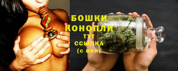 гидропоника Балабаново