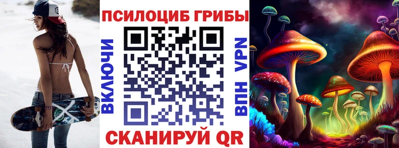 Псилоцибиновые грибы MAGIC MUSHROOMS  Ядрин 